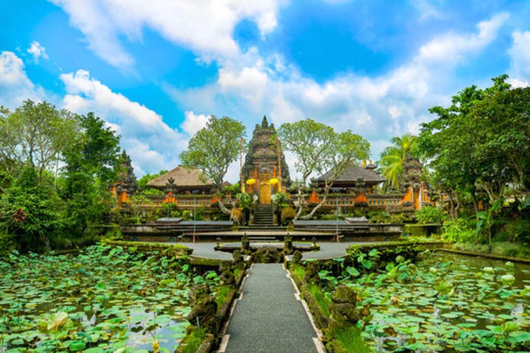 Bali Ubud Seminyak - Photo 4